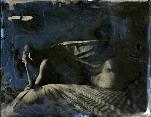 camdamage:  cam damage (+ cuttlefish) | by Brooke LabrieThese are one-of-a-kind collodion wetplate images produced on a 3.5x4.5″ sheet of tin; also called a tintype.  Varnished for protection & longevity.  These images were exposed on used plates,