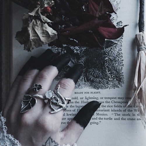 aaesthetic-angel: Forest Witch