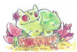 kounyoukai:  Good ol’ bulbasaur for a good