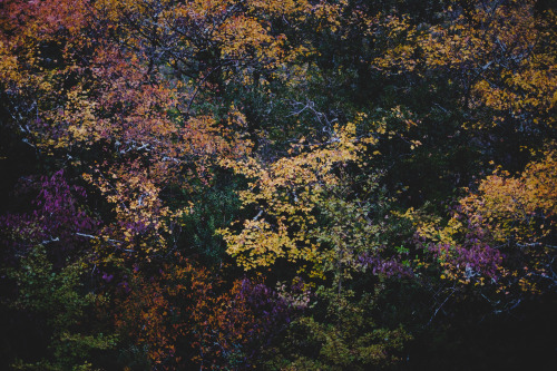 luclagasquie:  Wall of coloursInstagram | Website