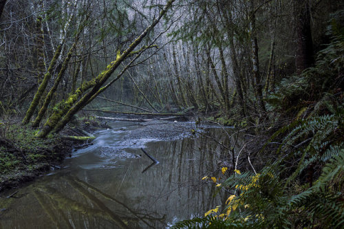 Headwaters by djerniganphoto on Flickr.