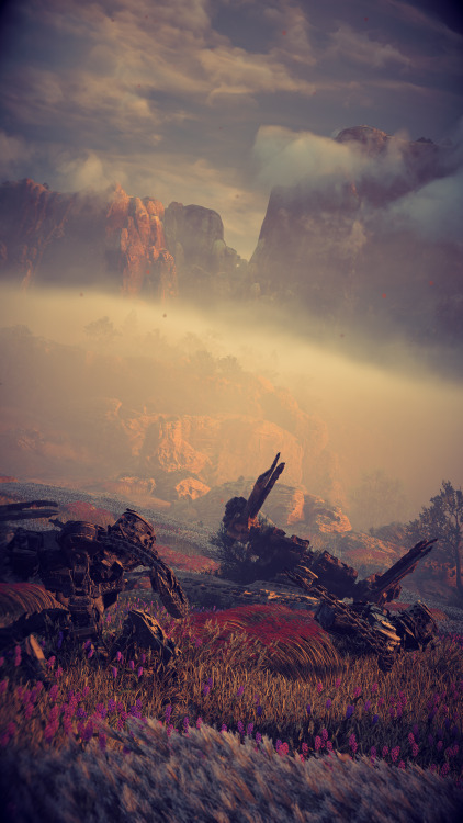 The first of what will probably be many Horizon Forbidden West photo mode dumps.