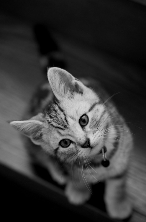 Her.