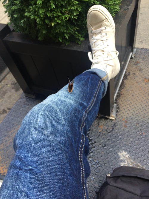 nanidiom:  so this just happened to me