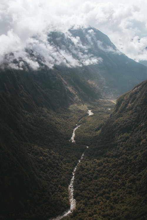 New Zealand | ( by Morgan Phillips ) 