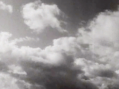 frigidtsarista:  David Sylvian in Red Guitar, dir. Anton Corbijn (1984)