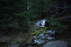 lobo-de-luna:   Fern Falls and Shadow Falls