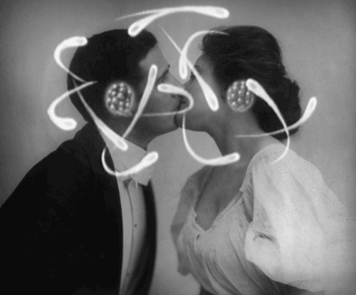 flowartstation:Surreal and Absurd GIFs by Bill Domonkos