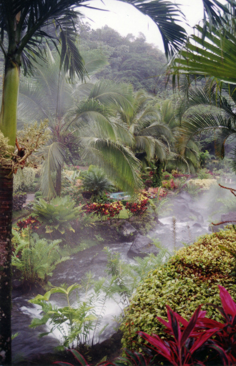 kelledia:Hot springs, Costa Rica.