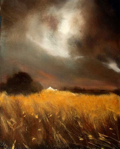 wasbella102:Barley field Ireland, John O’Grady