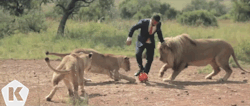 kicktv:  Three lions…
