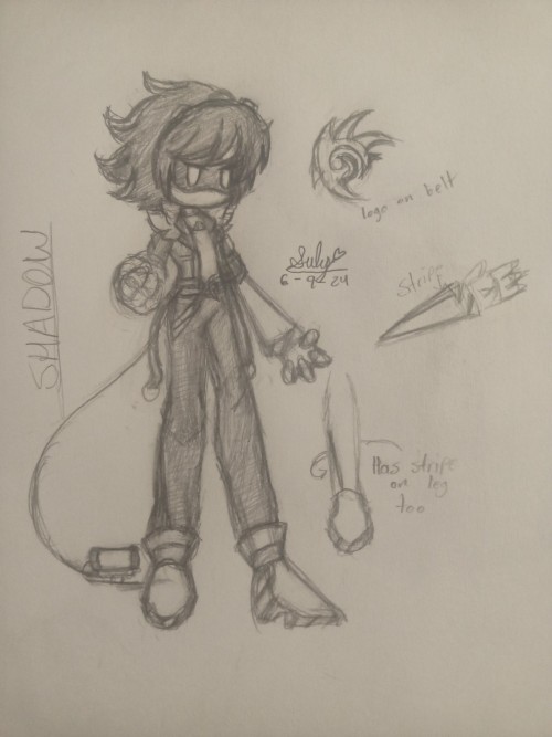 Shadow As A Disassembly Drone