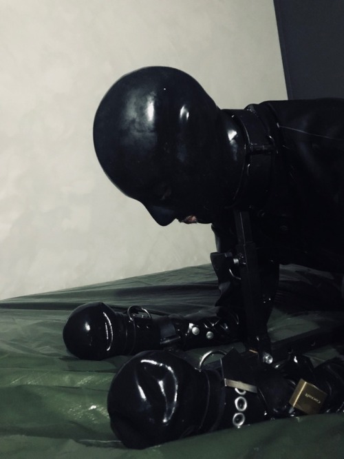 nordicrubberalpha:  #smackable #thatAss #slave #rubbercunt #rubber #gay #metalbondage #fuckrack