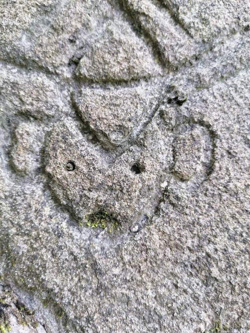 That Moment You Realise You've Spent You're Entire 32 Years Of Life Believing That That Cool Carving