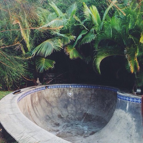 exoticauhl: ♡ ☼ EXOTICAUHL ☼ ♡