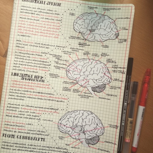 http://kt-studies.tumblr.com/post/124745270273