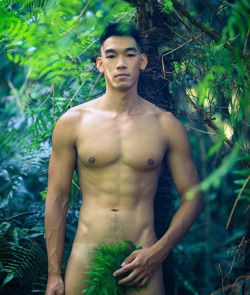 asian-men-x: