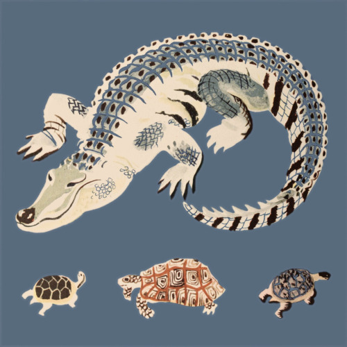 clawmarks:  Reptiles - Elena Gertik, Flammarion