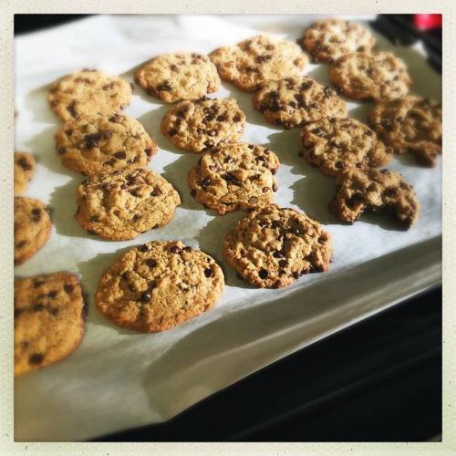 <p>My first batch of #paleo cookies. I have not eaten all of them - yet. Does anyone else think it’s funny that you put the same stuff in your cookies that you put on your face? #coconutoil 😳 (at Fiddlestar)</p>