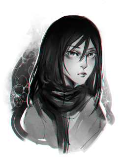 yujnx:  EMA through the years: 3. Mikasa