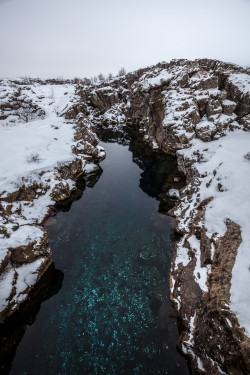 ternpest:  Peningagja at Thingvellir National Park // Daniel Weber The clear waters at the coin fissure located in Thingvellir National Park, a rift valley caused by the drift of the North American and Eurasian Plates. 