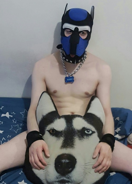 pupharry:Harry Naked #hot #puppy #puppyplay #dogtraining #woof #naked