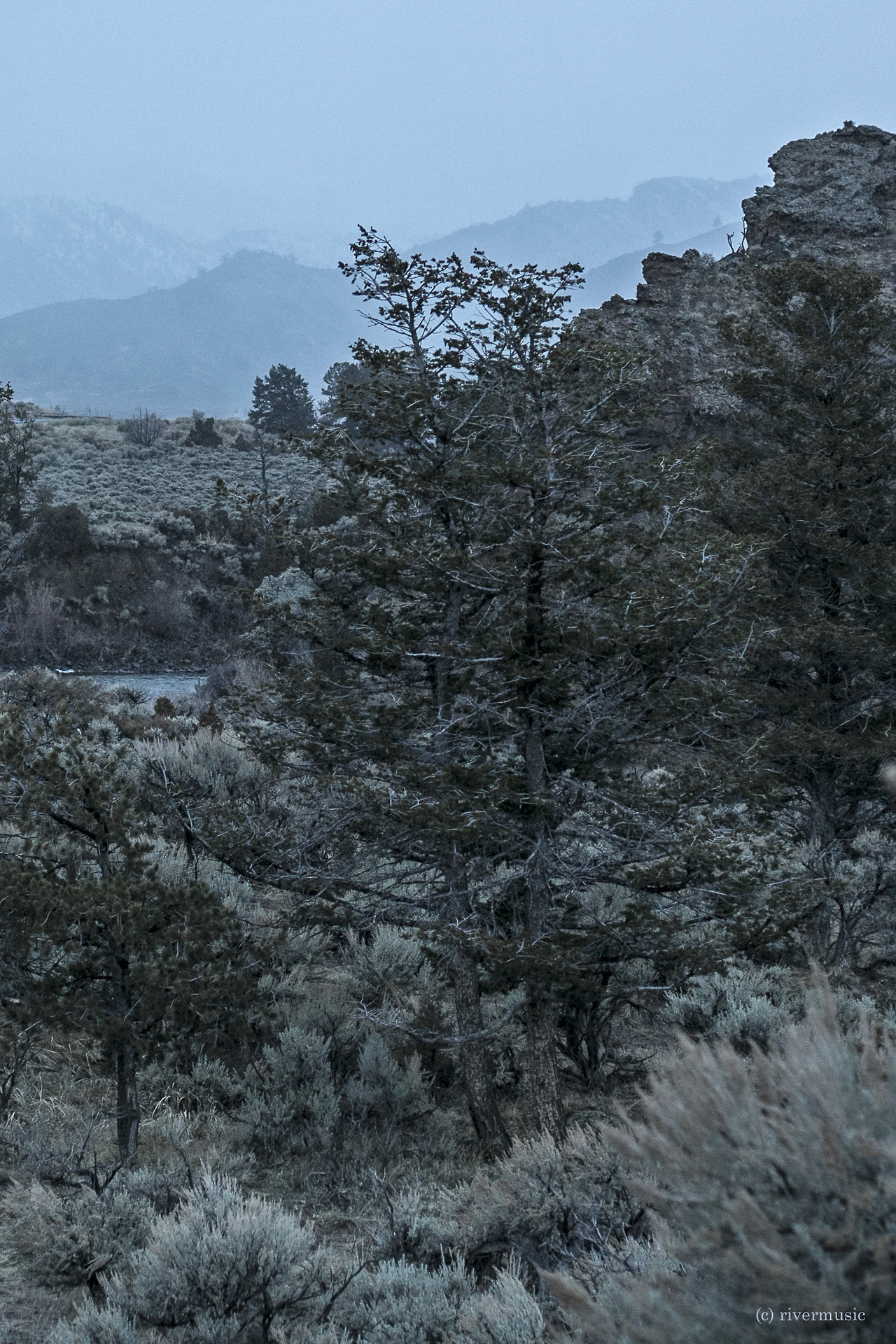 riverwindphotography:  Everything was the Color of Sage: Shoshone National Forest,