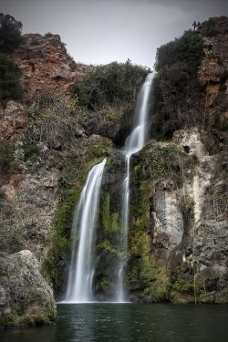 Sublim-Ature:  Valencia, Spaintino Rovira 