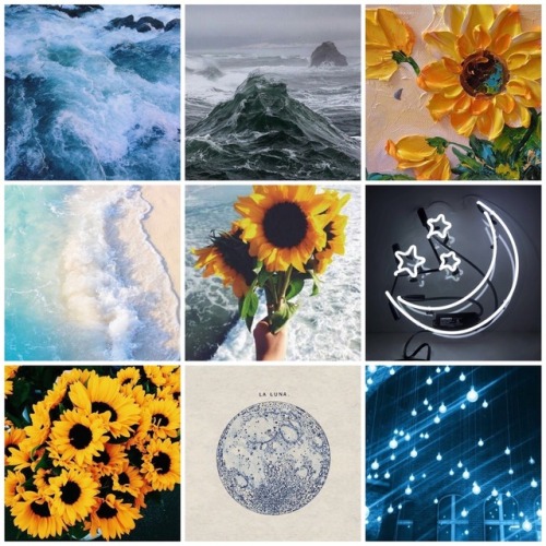 moodboardsforthemoody:sunflowers, sea and moon