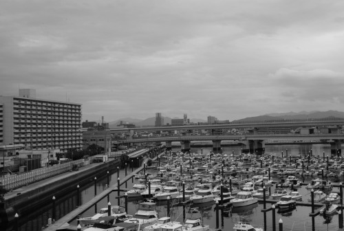 #leica #m8 #summaron35 #monochrom #hiroshima #dejima