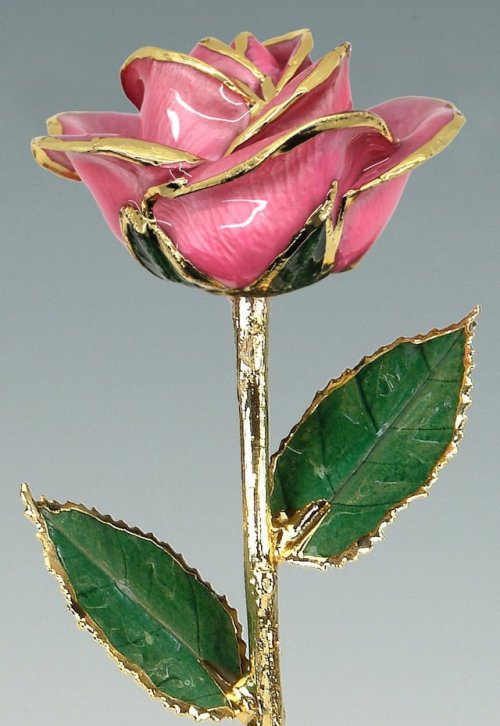 sosuperawesome: Real Preserved Roses Trimmed with Gold / Dipped in GoldLiving Gold Co on EtsySee our