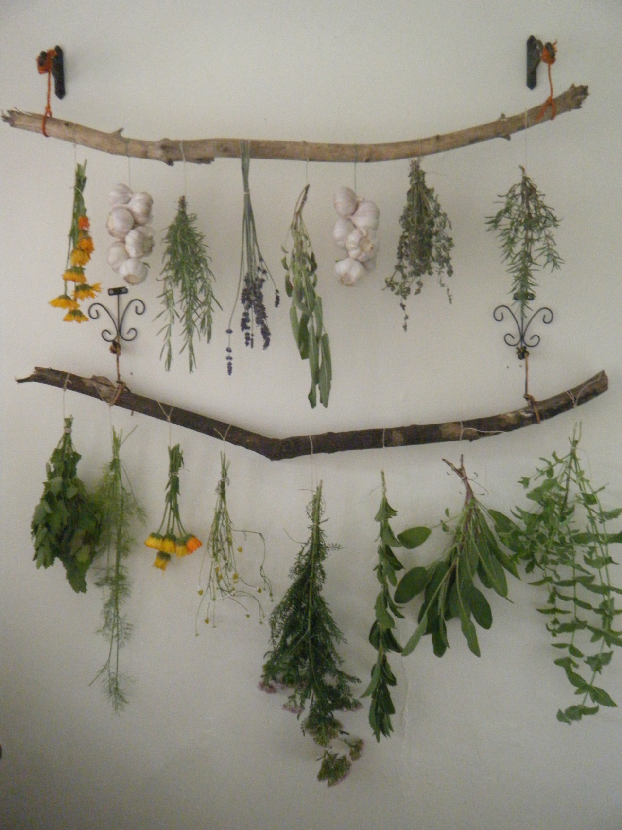 tulullabelle: my new drying set up! slowly harvesting the herb garden   Love love