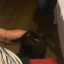 unveilingcatoftheyearplease