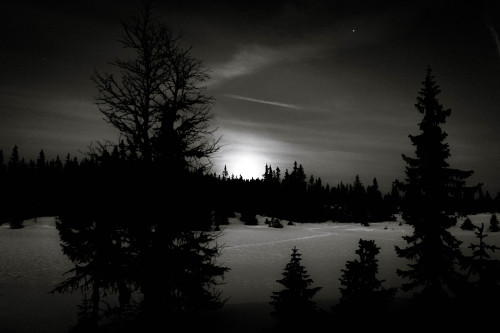 Moonrise KingdomValdres, Norway