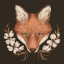 fox-burrow