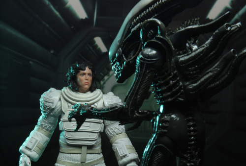 brokehorrorfan:NECA will releases its fourth wave of Alien toys celebrating the film’s 40th an