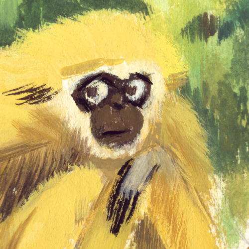 Gibbons in gouache, plus some details :)Website | Instagram | Twitter | Store