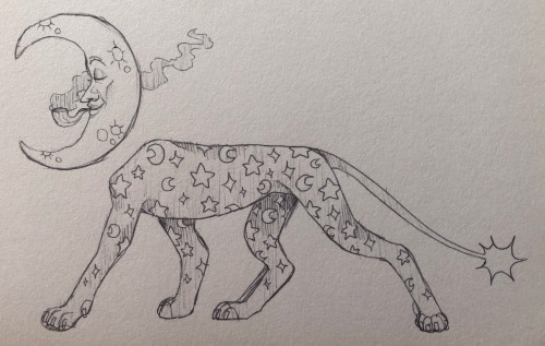 Various Things And Specimens From My Sketchbook
