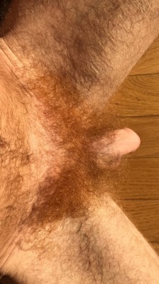 pierdep:  manlybush:  Ginger pubes galore