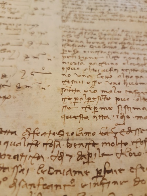 Ms. Codex 291 - [Records of the Priorista of the city of Florence, 1282 - 1509]Today, March 25, is a