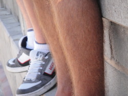 veryhairyboys:  hairy legs