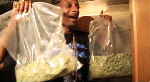 Stay Lifted