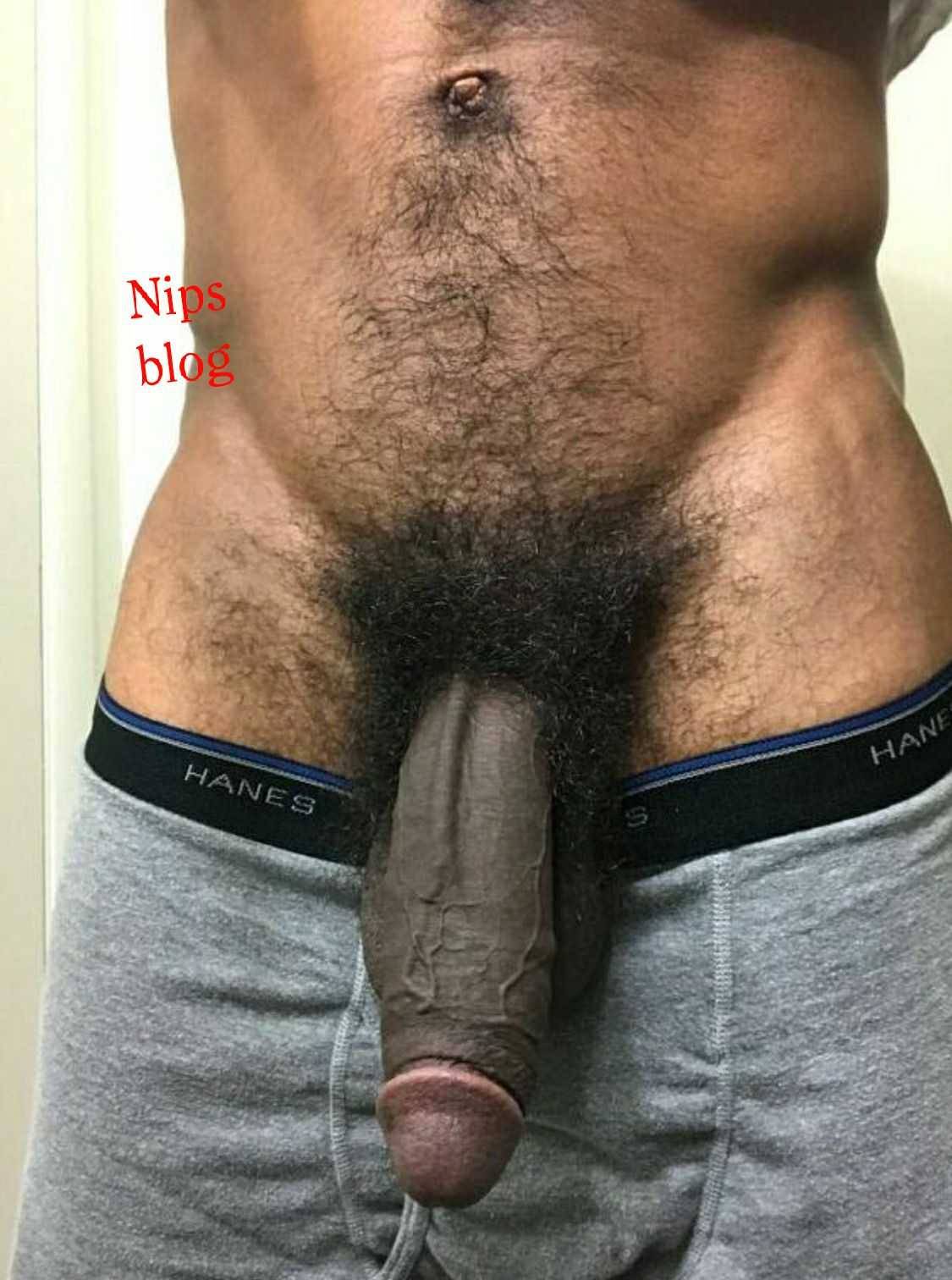 nipsontap:  Vain