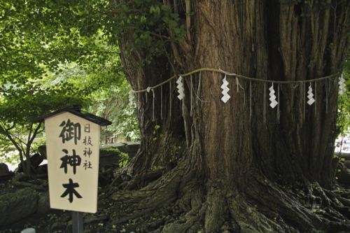 Yorishiro: objects (natural or manmade) in Shinto which divine spirits are drawn towards/inhabit.