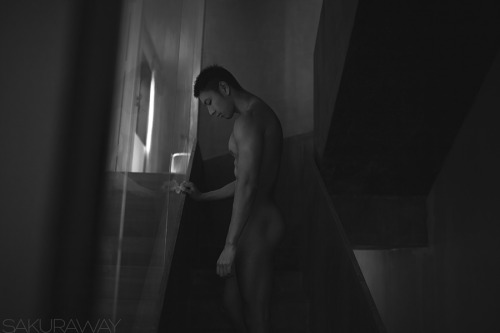 sakuraway25:  楼梯间 Model:W 