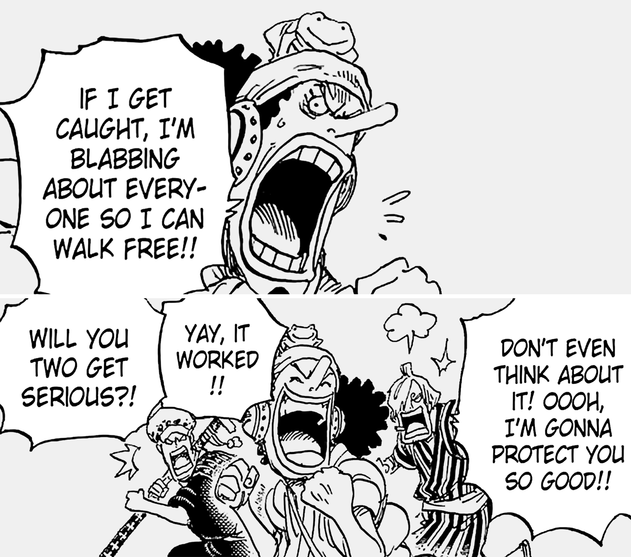 Zoro Understands Luffy
