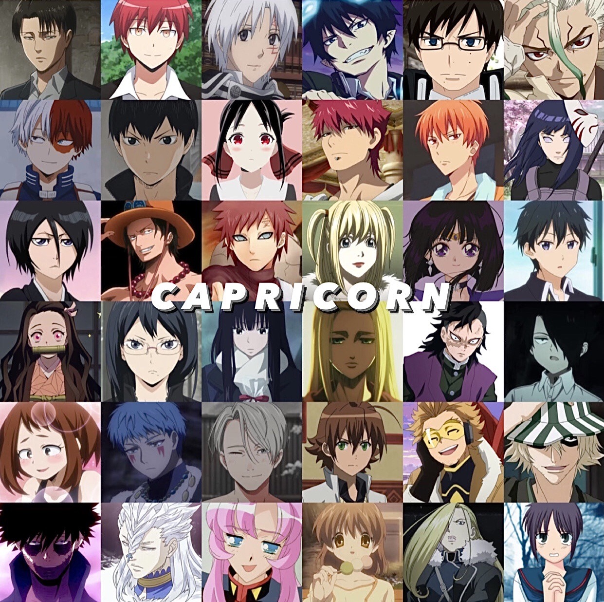20 Best Capricorn Anime Characters Ranked by Popularity