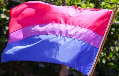 bi-trans-alliance:  September 20-26 is Bi Awareness Week September 23 is Bi Visibility Day  We have a flag and I had no idea!!