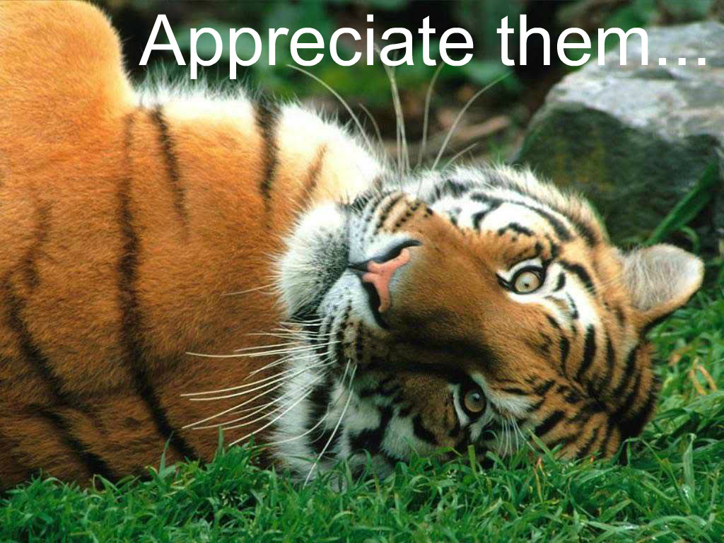 officialkakyointenmei:  adviceforvegans:Say NO to captivity!pls do not compare zoos