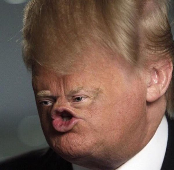 theclearlydope:  [via]